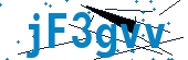 recaptcha