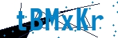 recaptcha